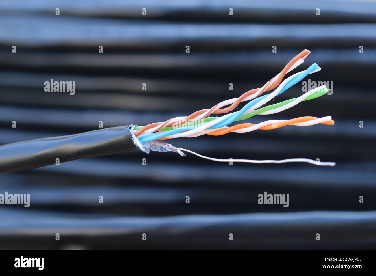 Symmetrisches Kabel. Verdrillte Drähte im Kabel. Dieses Kabel wird verwendet, um Computer mit einem Netzwerk zu verbinden. Stockfoto