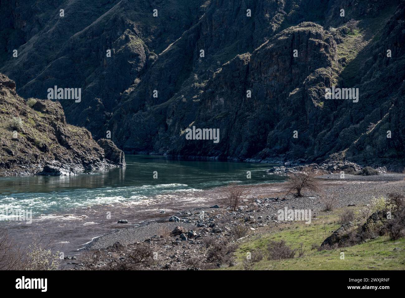 Der Imnaha River, der mit Schlamm aus schlechter Landnutzung beladen ist, mündet in den Snake River im Hells Canyon, Oregon. Stockfoto