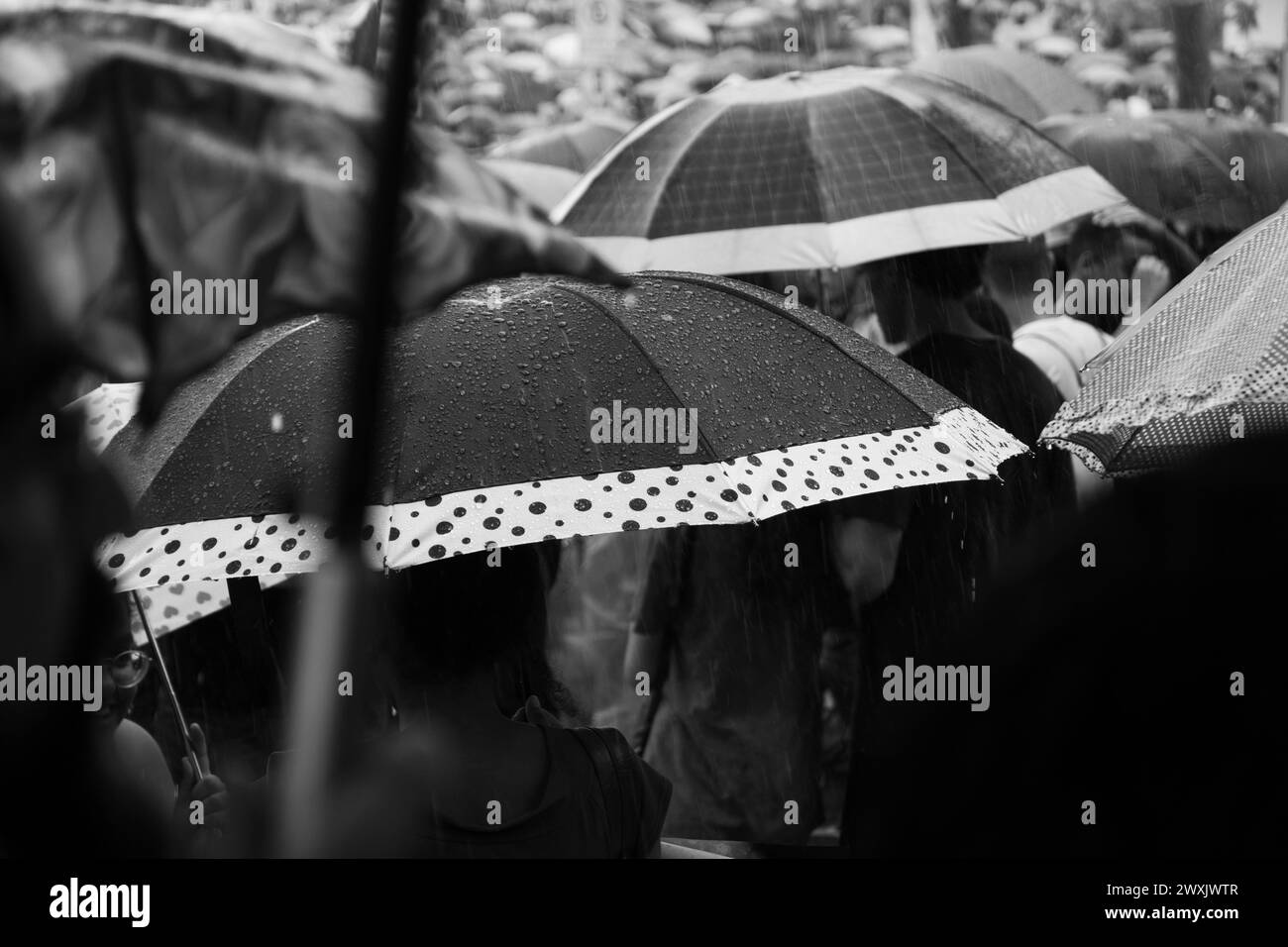 Salvador, Bahia, Brasilien - 15. Mai 2019: Hunderte von Studenten werden während eines Protestes für Bildung in der Stadt Salvador mit Regenschirmen gesichtet Stockfoto