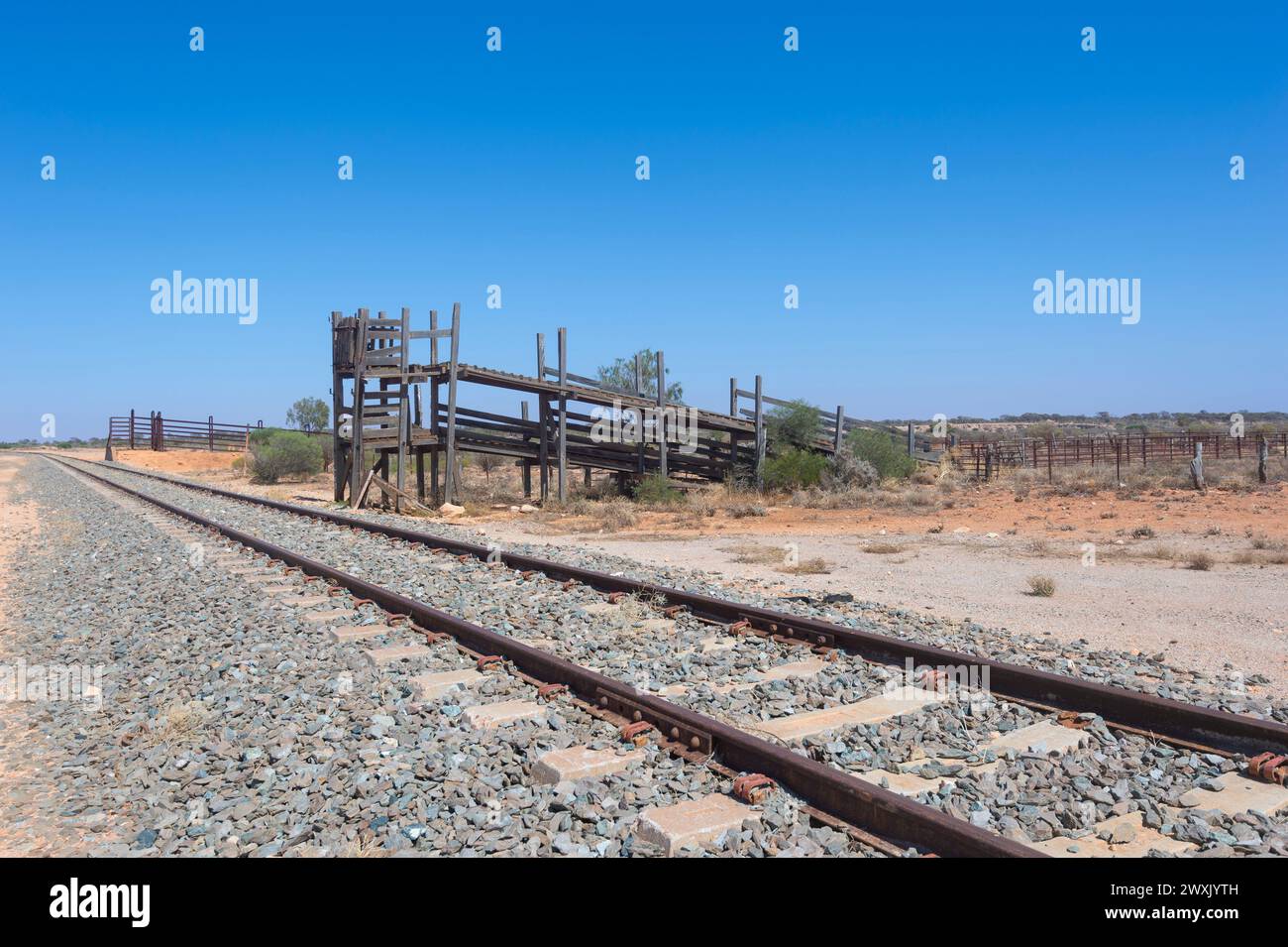 Verladerampe für alte Rinder oder Schafe am Bahnhof Rawlinna, einer winzigen entlegenen Outback-Stadt entlang der Indian Pacific Railway Line auf der Nullarbor Plain, Stockfoto