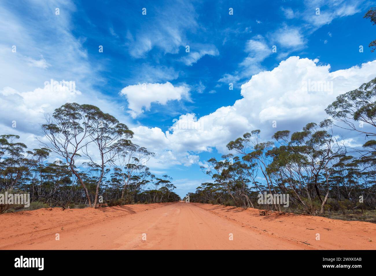 Blick auf die Trans Access Road oder die Trans Australia Rail Access Road, eine raue Schotterstraße im Nullarbor, Western Australia, WA, Australien Stockfoto