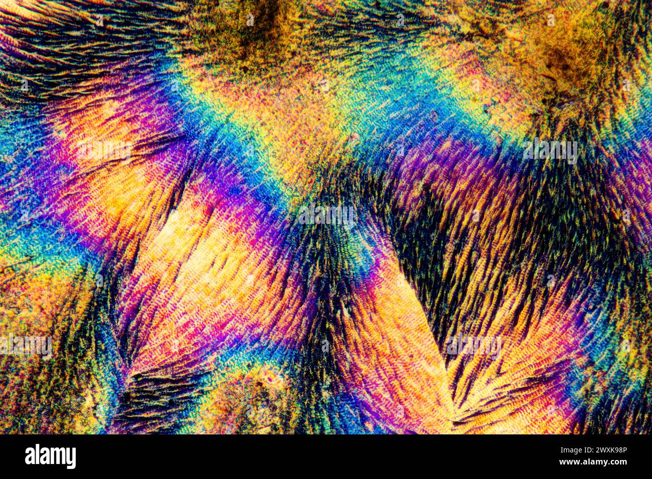 Extreme Makro Foto von Vitamin C crystals Stockfoto