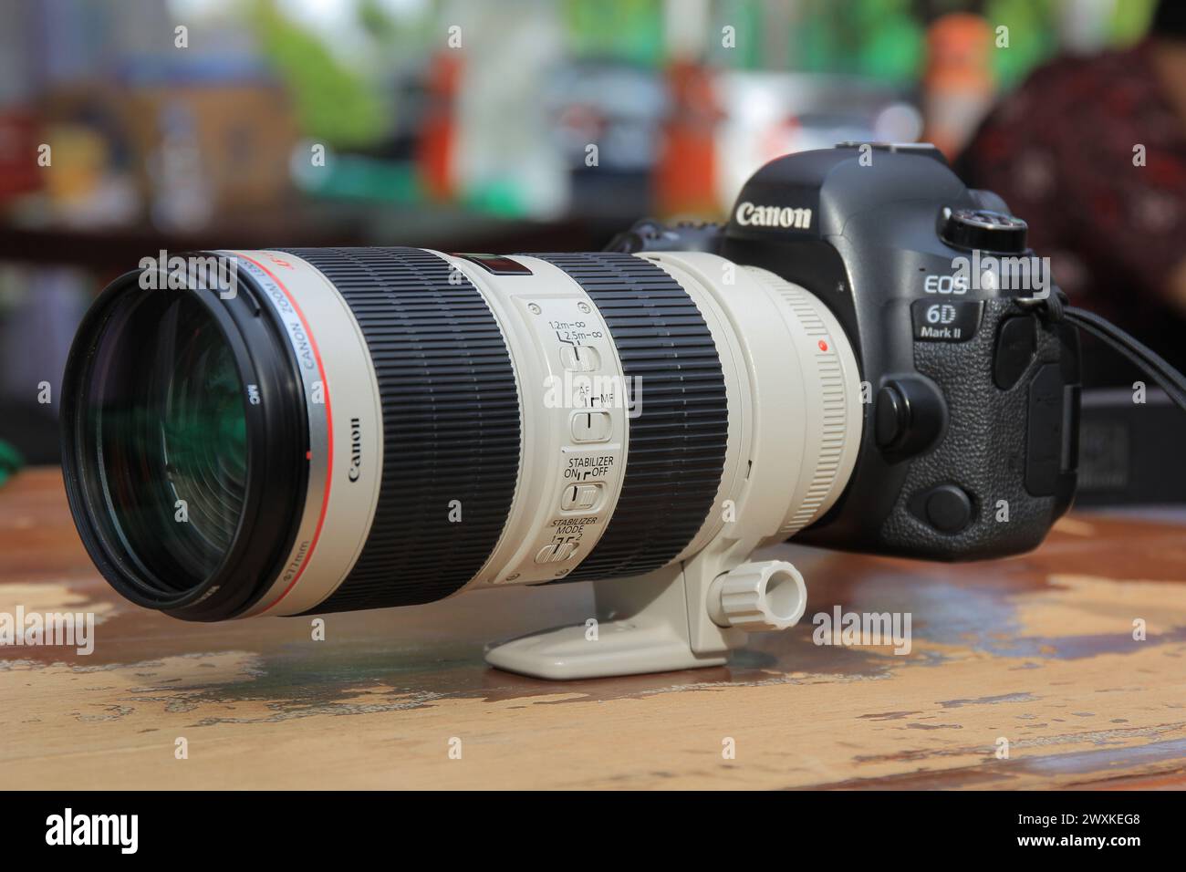 Canon 6D Mark II + EF 70-200mm F2. 8L IST. Stockfoto