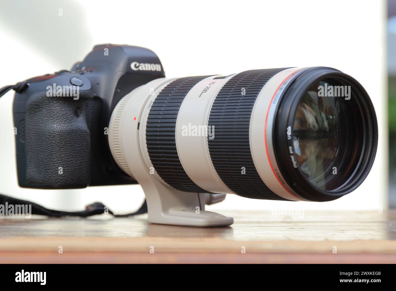 Canon 6D Mark II + EF 70-200mm F2. 8L IST. Stockfoto