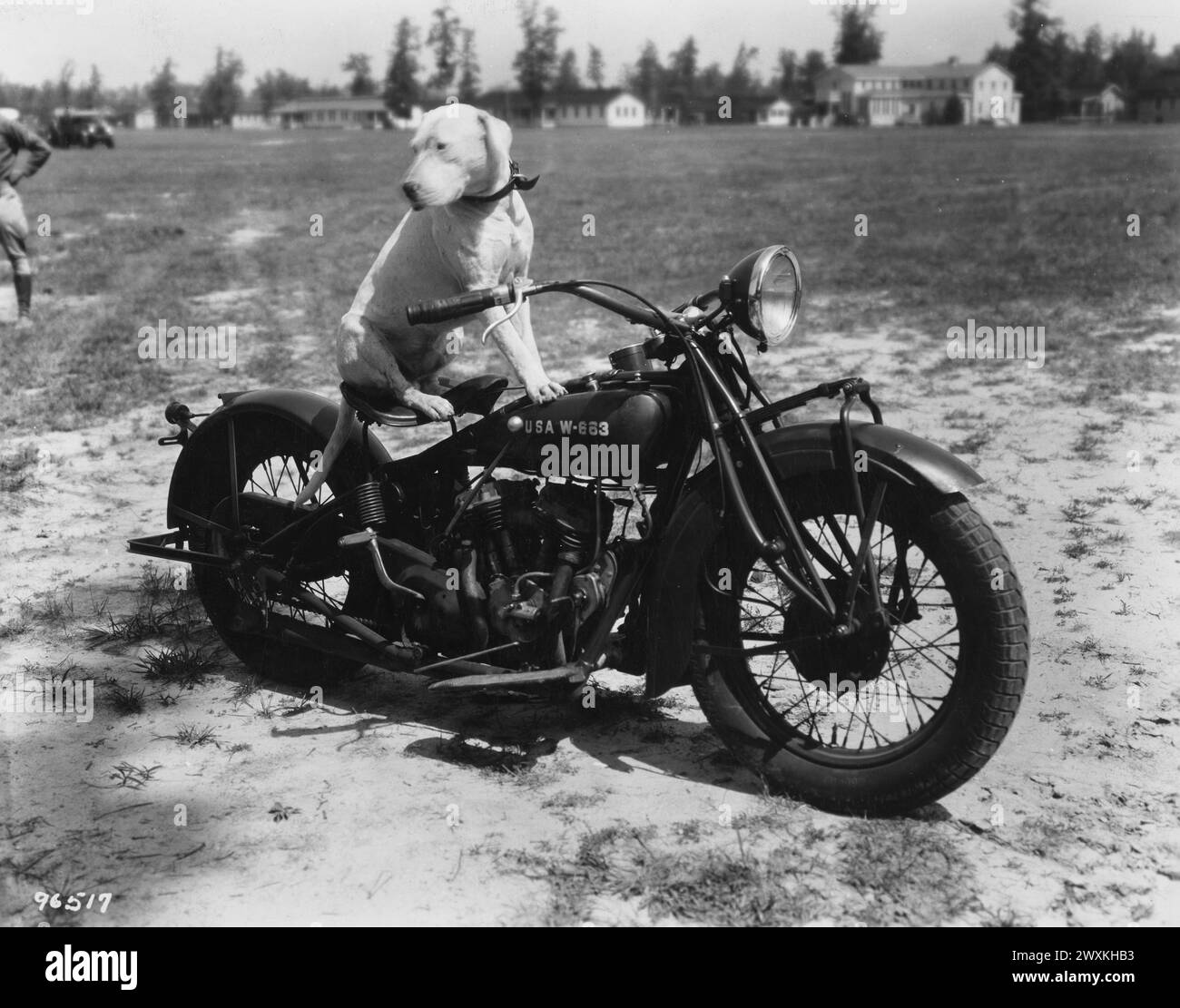 "Cap", das Maskottchen der Tank Company, Mechanized Force, fährt auf einem Motorrad. Ft. Eustis, Virginia, August 1931 Stockfoto