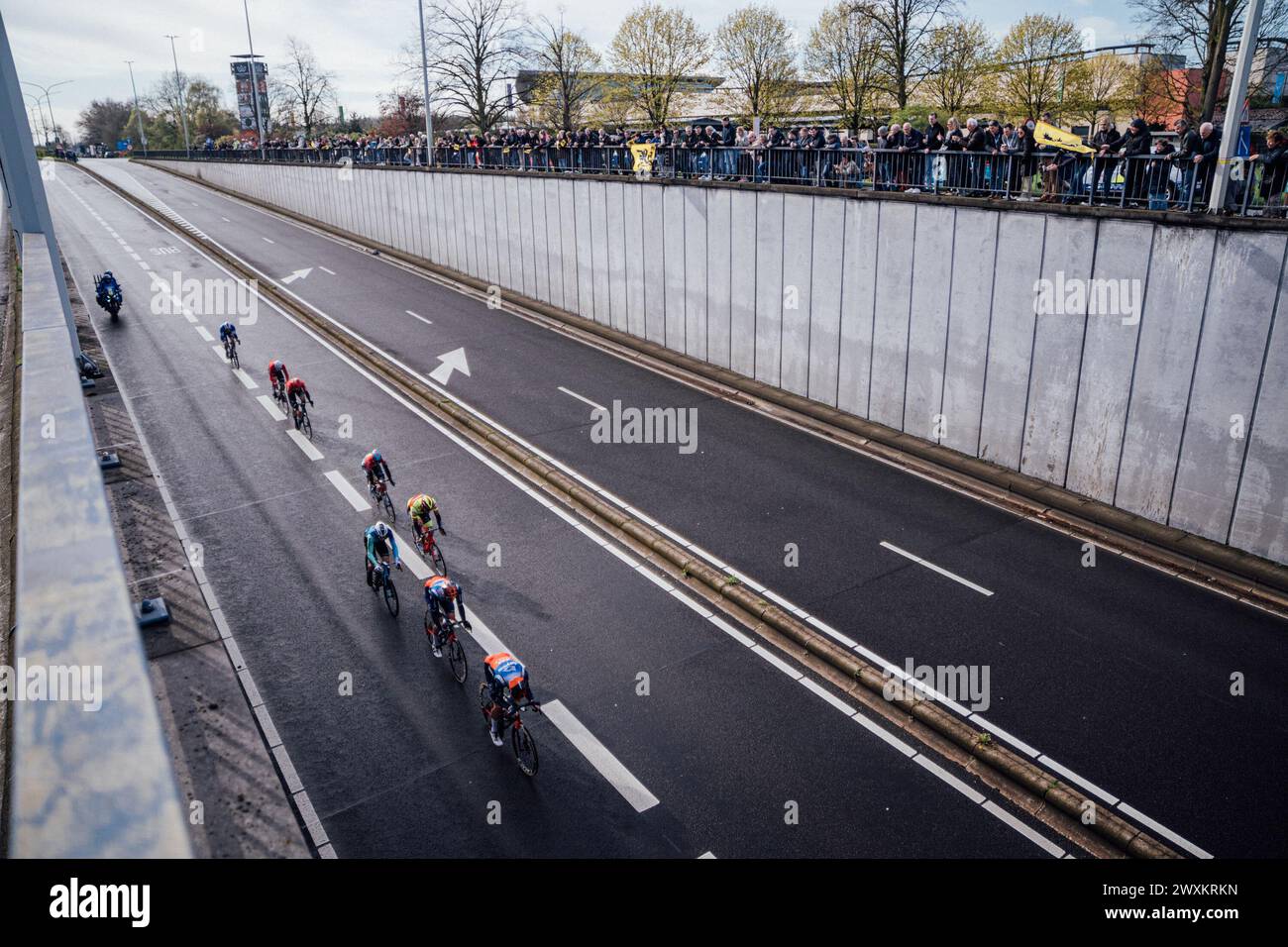 Oudenaarde, Belgien. 31. März 2024. Foto: Zac Williams/SWpix.com - 31/03/2024 - Radfahren - 2024 Ronde Van Vlaanderen - die Abtrünnigkeit. Quelle: SWpix/Alamy Live News Stockfoto