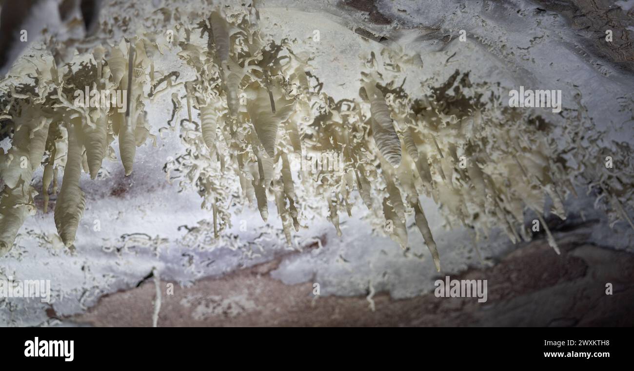 Geheimnisvolle Höhlenformationen, Die Dem Unterwasserleben Ähneln Stockfoto