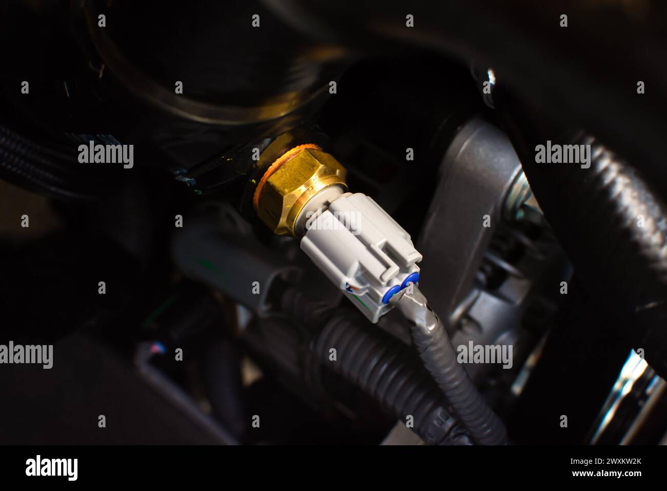 Öldrucksensor oder Schalter des Fahrzeugmotors , elektronischer Sensor , Fahrzeugkonzept Stockfoto