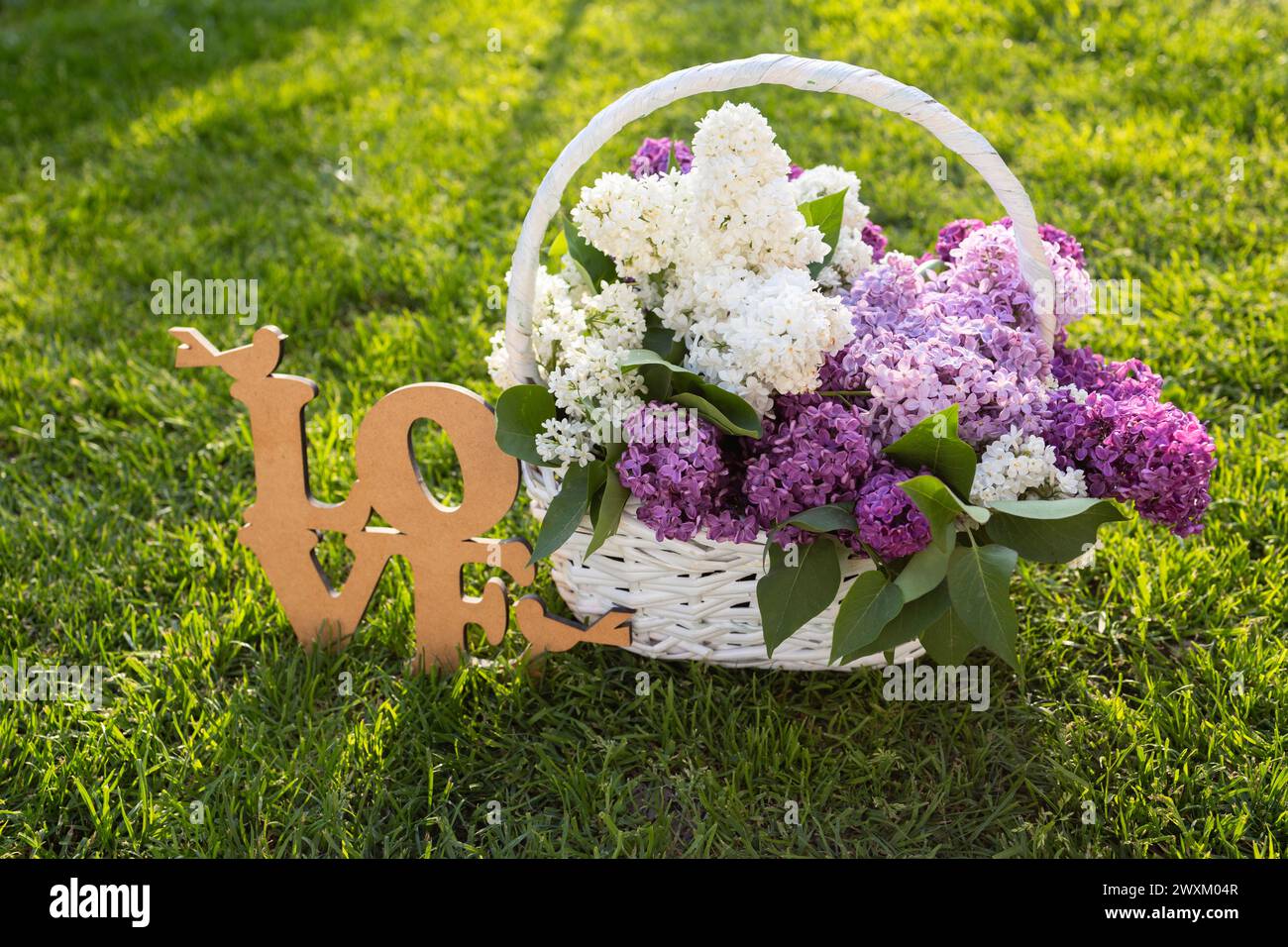 Korb mit einem Blumenstrauß aus frisch blühenden Fliedern in weißen und violetten Blüten auf grünem Rasen an einem sonnigen Tag. In der Nähe ist das Holzwort Liebe. Flor Stockfoto