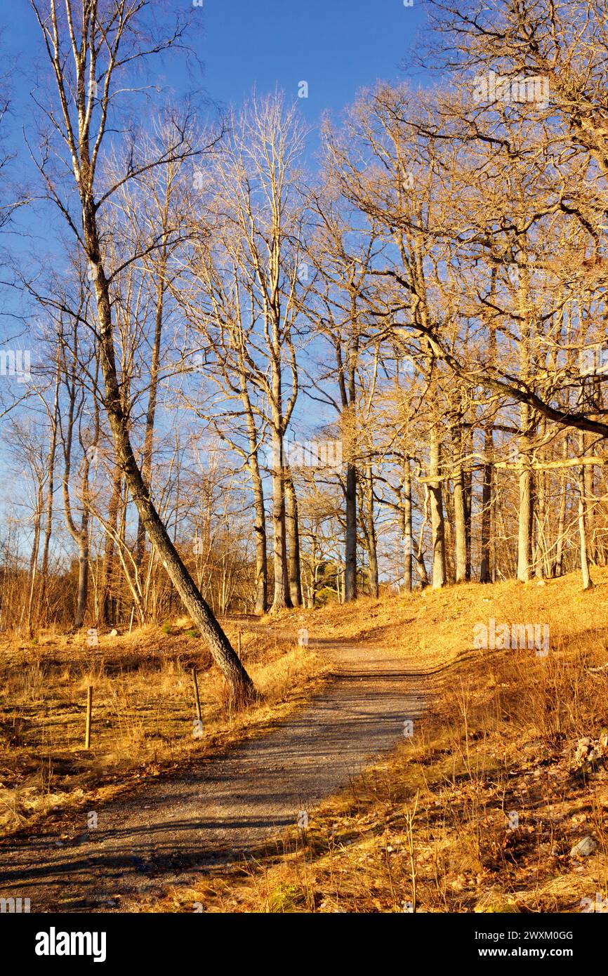 Kurvenreiche Straße im Naturschutzgebiet Bjorno, Stockholm - Schweden Stockfoto