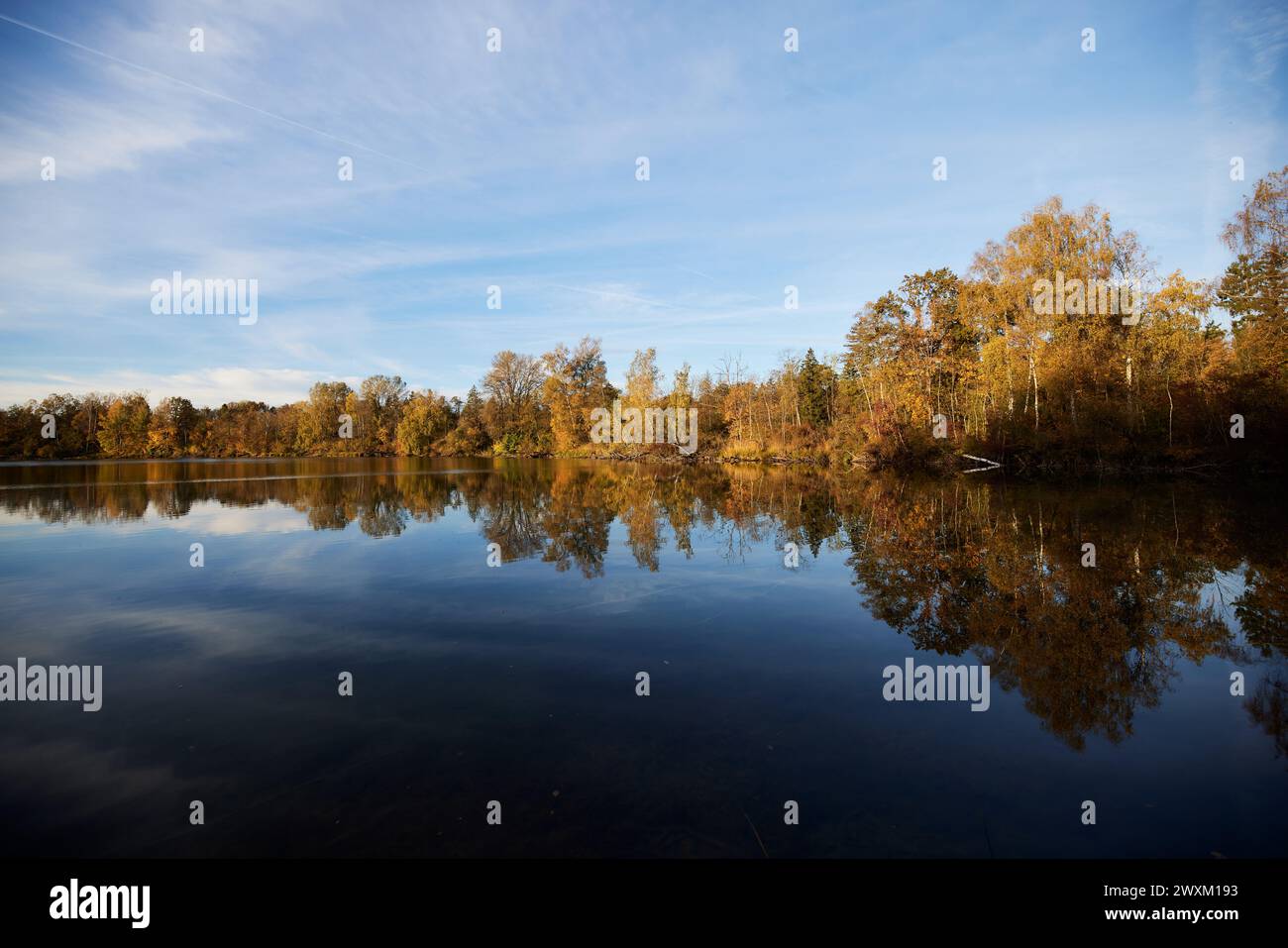 Ruhiger Teich mit baumgesäumten Ufern, die den Himmel spiegeln und eine ruhige Szene schaffen Stockfoto