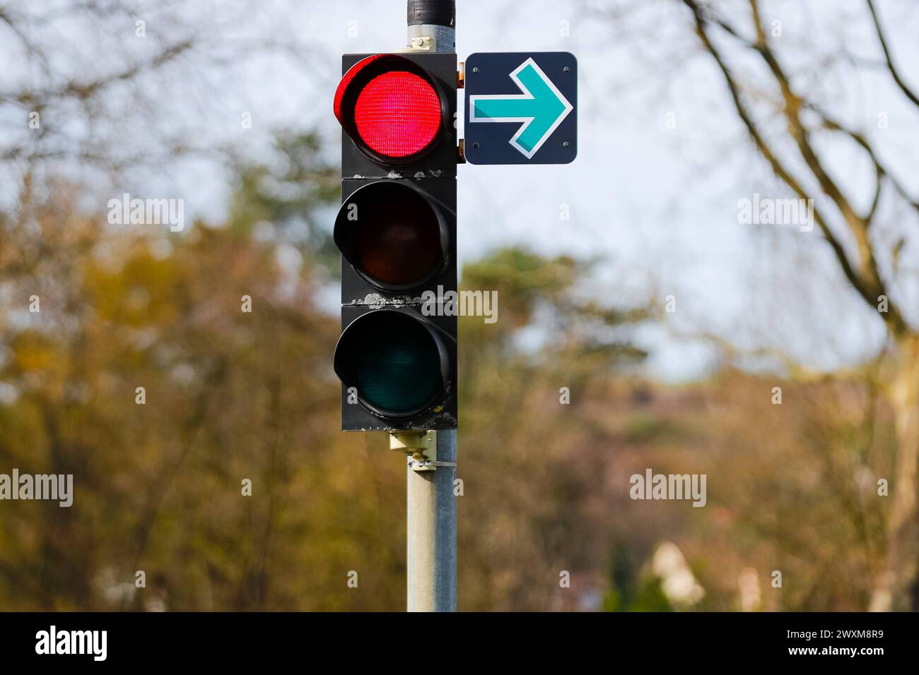 Rotlicht Ampel mit gruenem Pfeil, Symbolbild für Verkehr, Verkehrsregelung, Ampelanlage