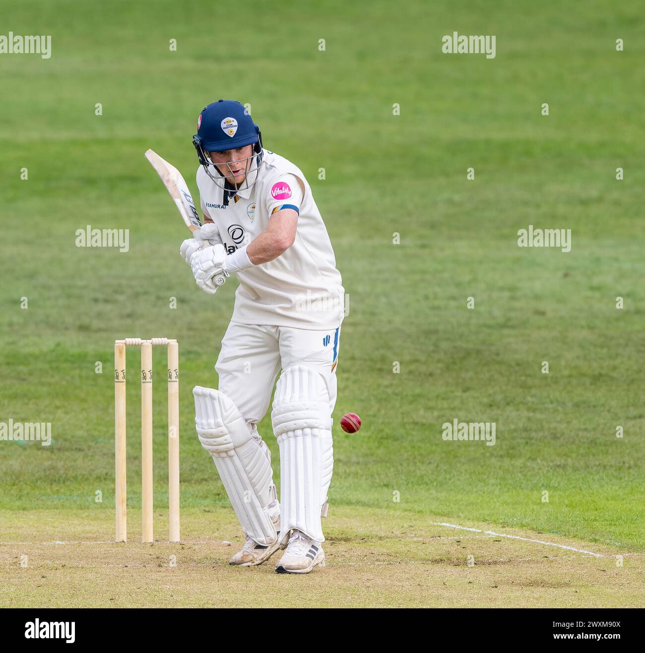 Derbyshires Harry spielte in einem Freundschaftsspiel gegen Leeds/Bradford UCCE vor der Saison Stockfoto