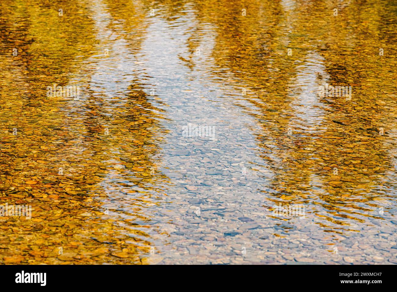 Bäume spiegeln sich im Flusswasser mit Kräuseln Stockfoto