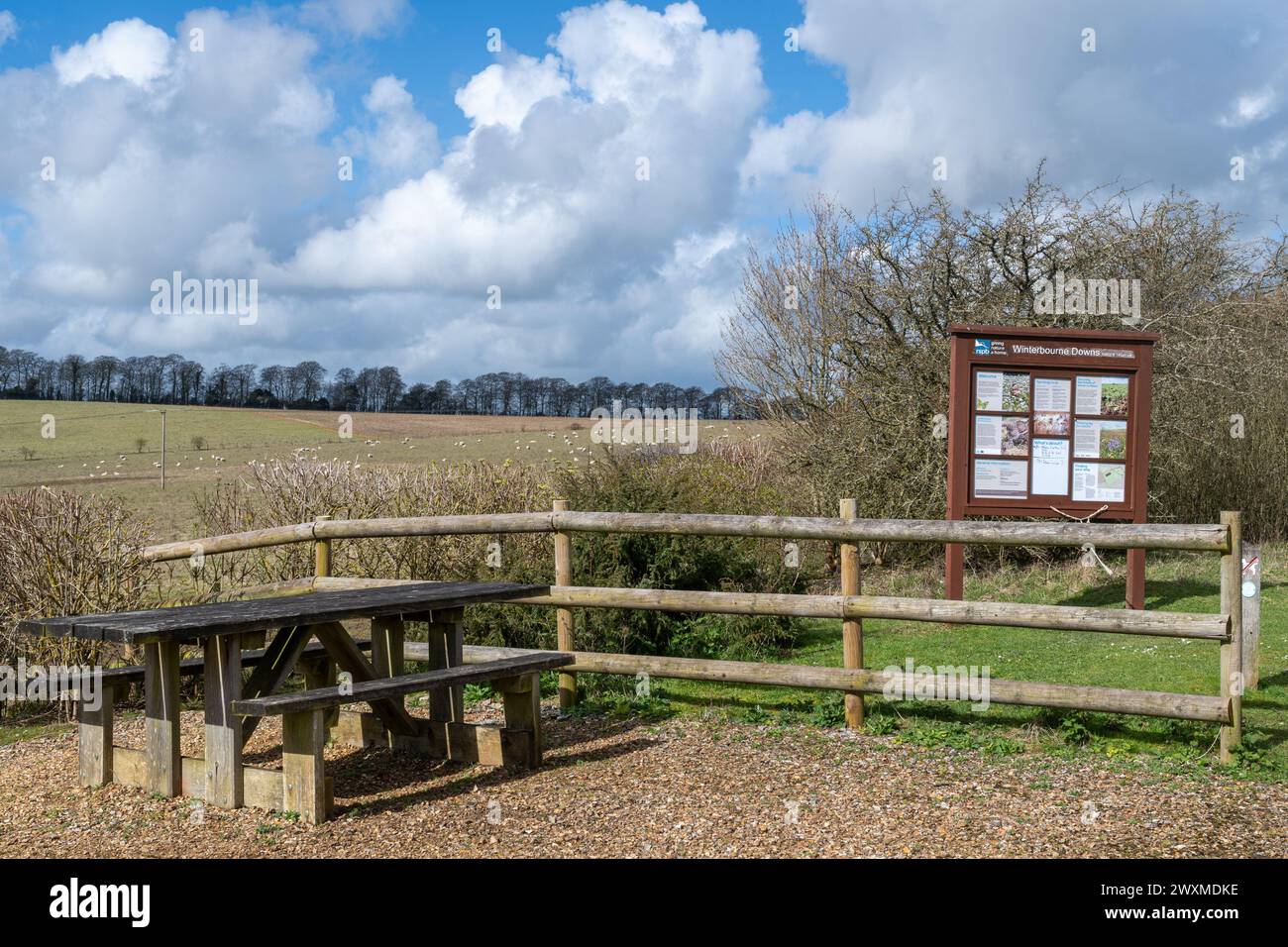 RSPB Winterbourne Downs Naturschutzgebiet in Spring, Wiltshire, England, Großbritannien. Blick auf die Informationstafel und den Lebensraum der Kreide-Ackerland Stockfoto