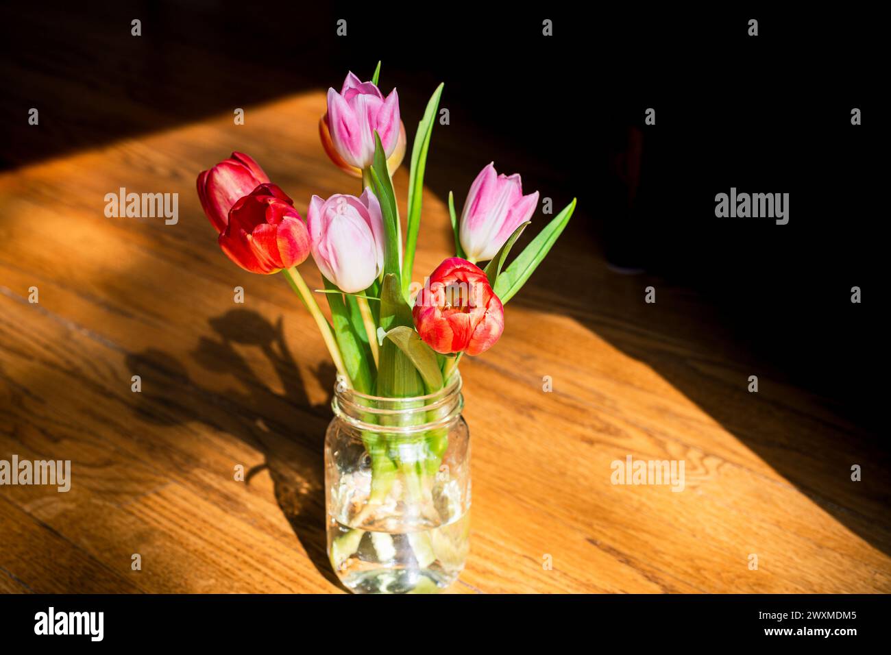 Frühlingsstrauß aus Tulpen in Glasgefäß Stockfoto