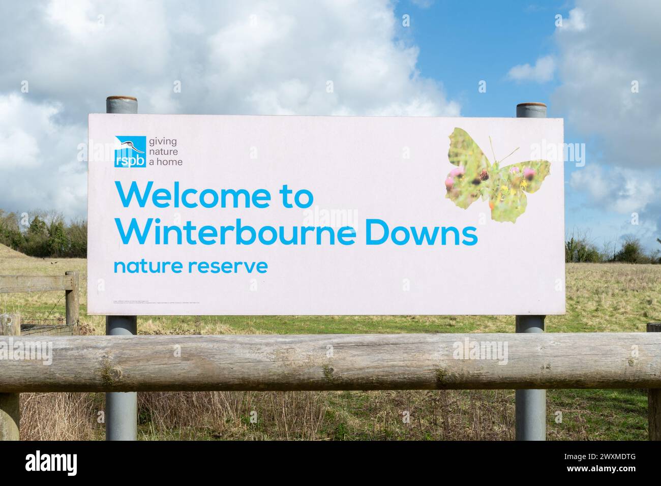 RSPB Winterbourne Downs Naturschutzgebiet in Spring, Wiltshire, England, Großbritannien. Stockfoto