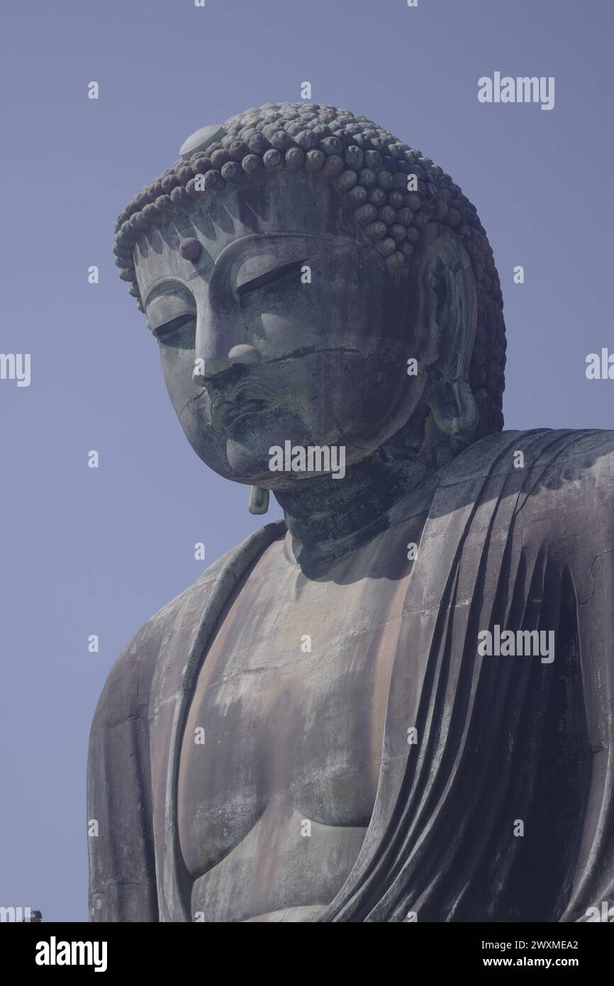 Daibutsu (großer Buddha) in Kamakura, Präfektur Kanagawa, Japan Stockfoto