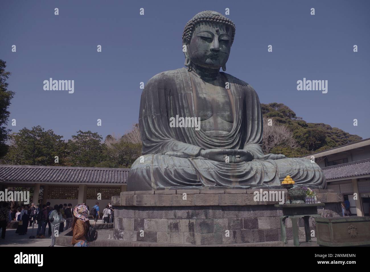 Daibutsu (großer Buddha) in Kamakura, Präfektur Kanagawa, Japan Stockfoto