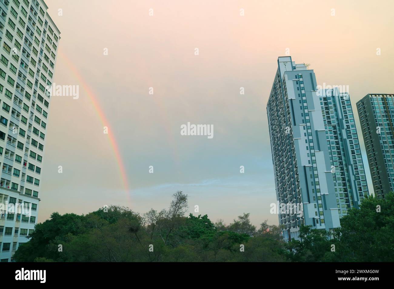 Wunderschöner Regenbogen über dem abendlichen städtischen Himmel Stockfoto