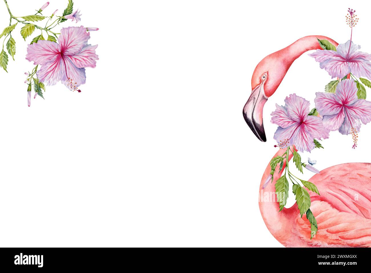 Flamingovogel und rosafarbene Hibiskusblüten mit eleganten botanischen Blättern und Knospen exotischen Grußkarten. Handgezeichnete Vorlage für den Kopierraum mit Aquarell Stockfoto