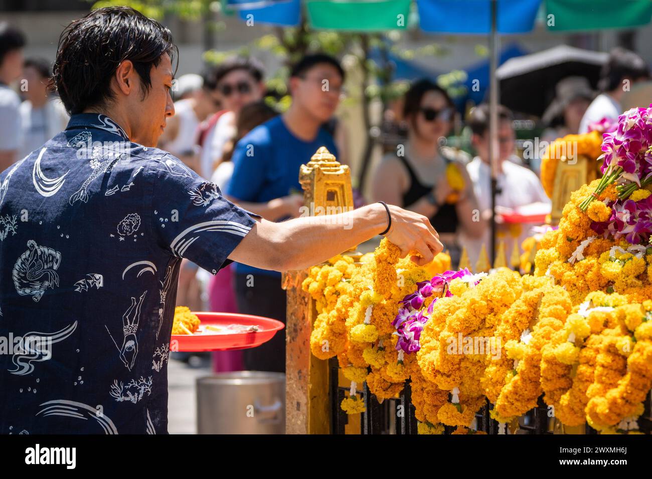 Bangkok, Thailand. 30. März 2024. Ein asiatischer Mann wird gesehen, wie er eine Blumengirlande als Opfergabe im Erawan-Schrein in der Innenstadt von Bangkok hinzufügt. Der Erawan-Schrein, der dem Brahma-Gott gewidmet ist, ist ein verehrter Ort, an dem Besucher aus Thailand und rund um den Globus Weihrauch, Girlanden, Früchte und Elefantenstatuen anbieten, in der Hoffnung, dass ihre Wünsche wahr werden. Darüber hinaus trägt der Schrein zu wohltätigen Zwecken bei und unterstützt Krankenhäuser und Organisationen in ganz Thailand. Quelle: SOPA Images Limited/Alamy Live News Stockfoto