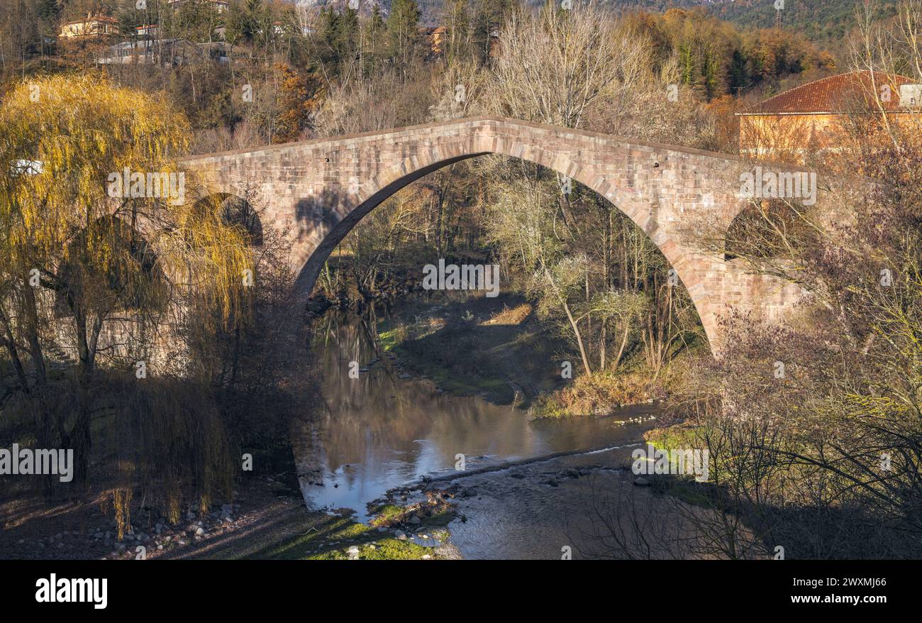 Die Alte Brücke von Sant Joan de les Abadesses, El Ripolles, Katalonien Stockfoto