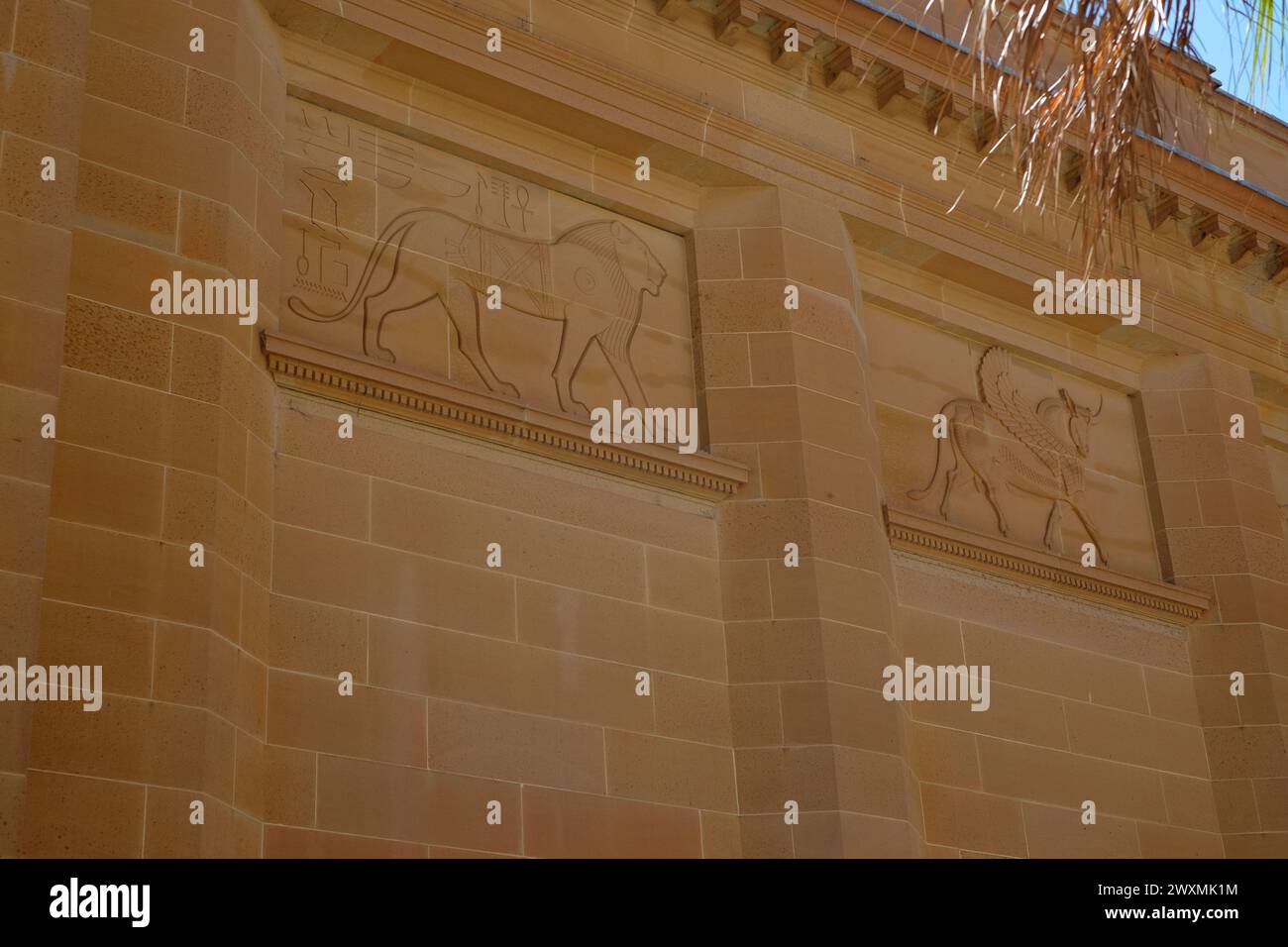 Zwei von neun der Basreliefs Sandsteinschnitzereien ägyptischer Löwe 1447 v. Chr., Assyrischer geflügelter Stier 4. Jahrhundert v. Chr. an der Mitchell Library Fassade in Sydney Stockfoto