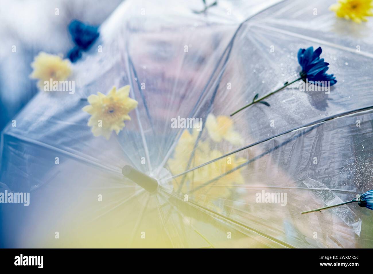 Blumenschirm der Frau an einem nebeligen Tag. Illustrieren von Artikeln über Selbstreflexion und Einsamkeit. Stockfoto