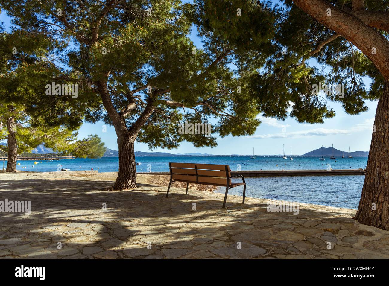Die wunderschöne Bucht von Puerto Pollenca, Mallorca, Spanien mit dem Pine Walk entlang der Promenade. Puerto De Pollensa Stockfoto