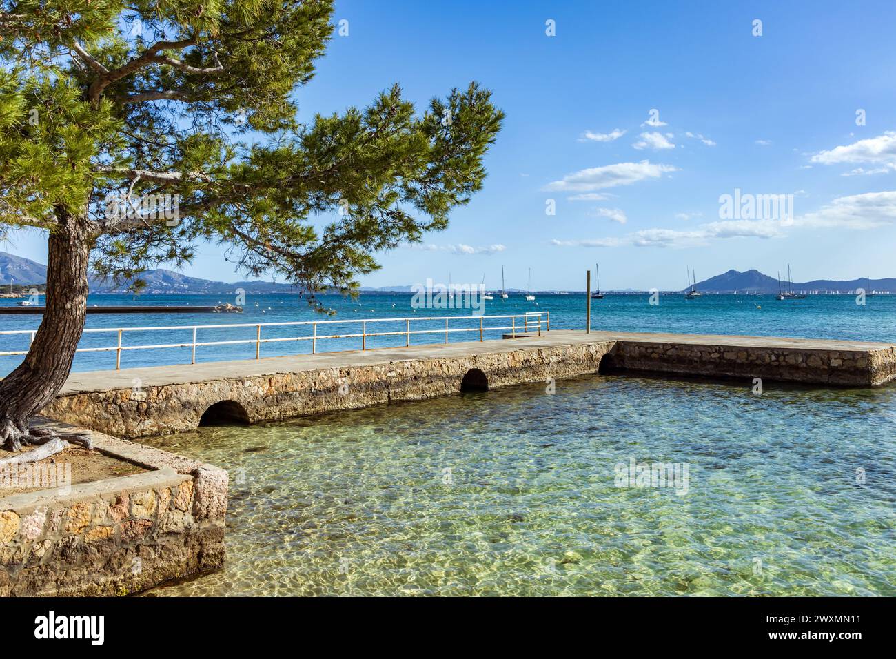 Die wunderschöne Bucht von Puerto Pollenca, Mallorca, Spanien mit dem Pine Walk entlang der Promenade. Puerto De Pollensa Stockfoto
