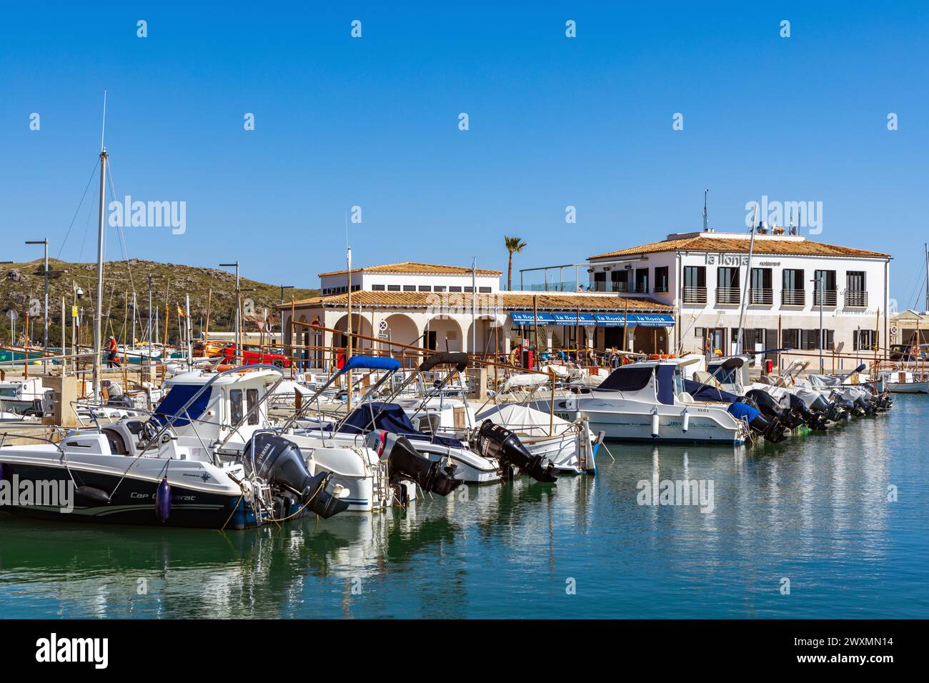 Kreuzfahrer und Yachten liegen im Hafen von Port de Pollenca, Mallorca, Balearen, Spanien Stockfoto