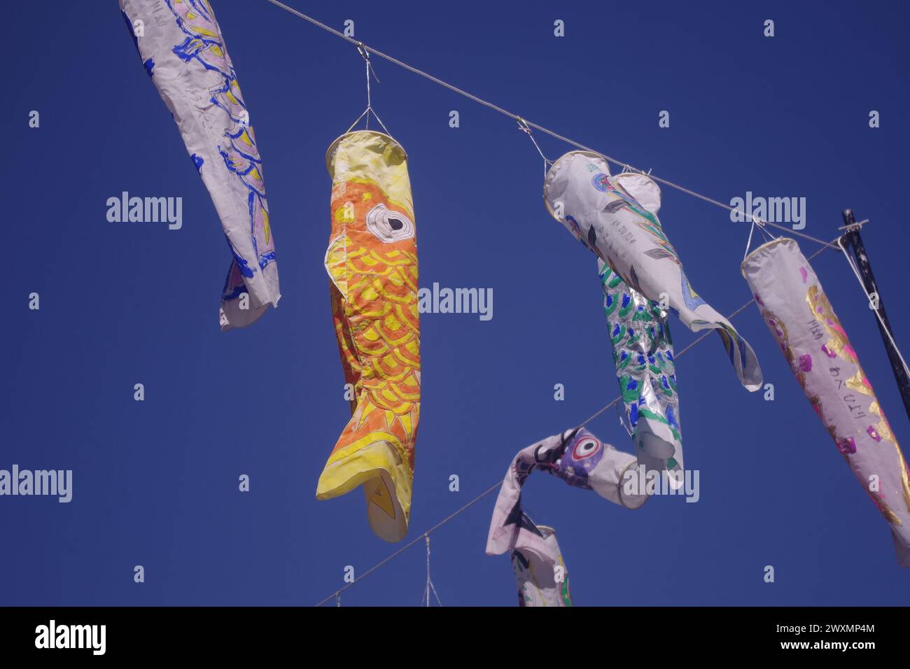 Koi Carp Streamer in Kawagoe, Präfektur Saitama, Japan Stockfoto