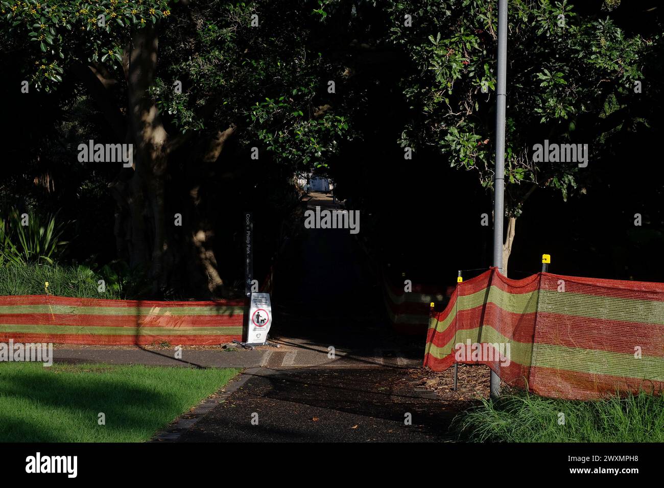 Gefahrenzäune um Gartenbeete und Bäume im Cook & Philip Park. Die Asbestkrise in Sydney Asbest-kontaminierter Mulch in Sydney, Australien. Stockfoto