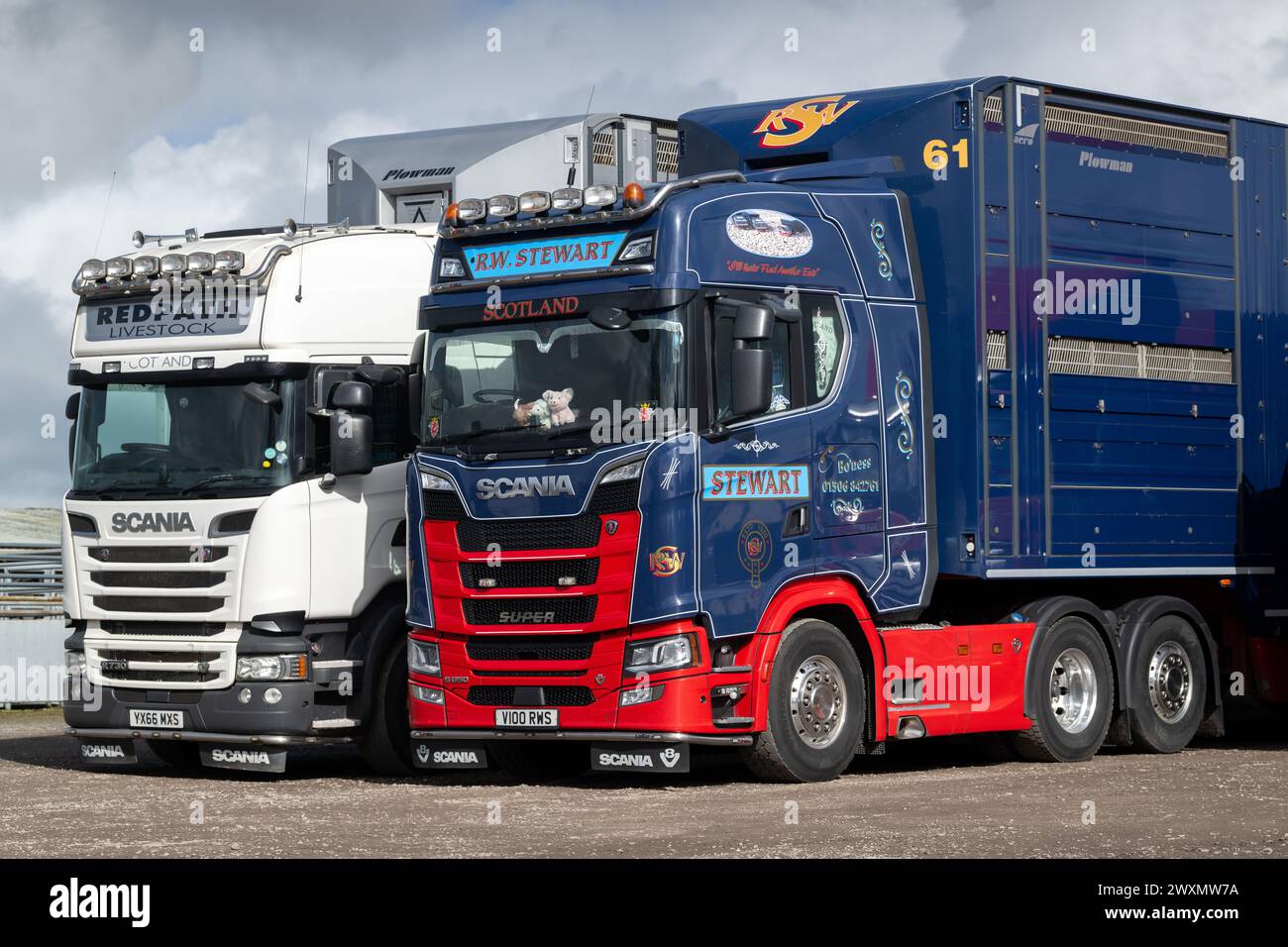 Viehwaggons, die in einem Viehauktionsmarkt geparkt sind. Dumfries, Schottland, UK. Dumfries Auction Mart - März 2024. Stockfoto