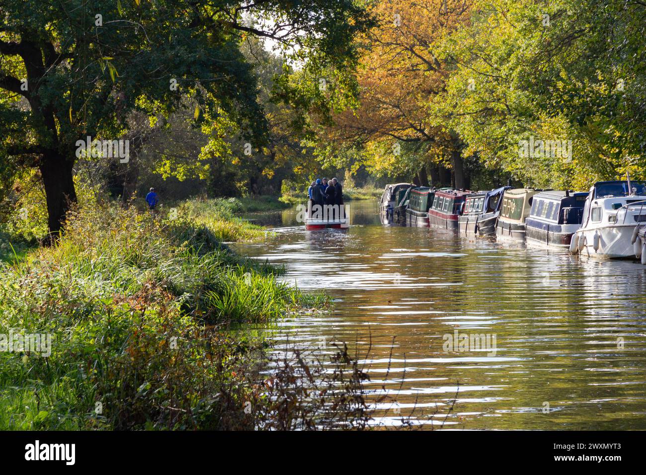 Canal Lastkähne günstig gegen den von Bäumen gesäumten Ufer des kanalisierten Fluss Wey Navigation auf einer Strecke in der Nähe von Guildford in Surrey, Wald Stockfoto