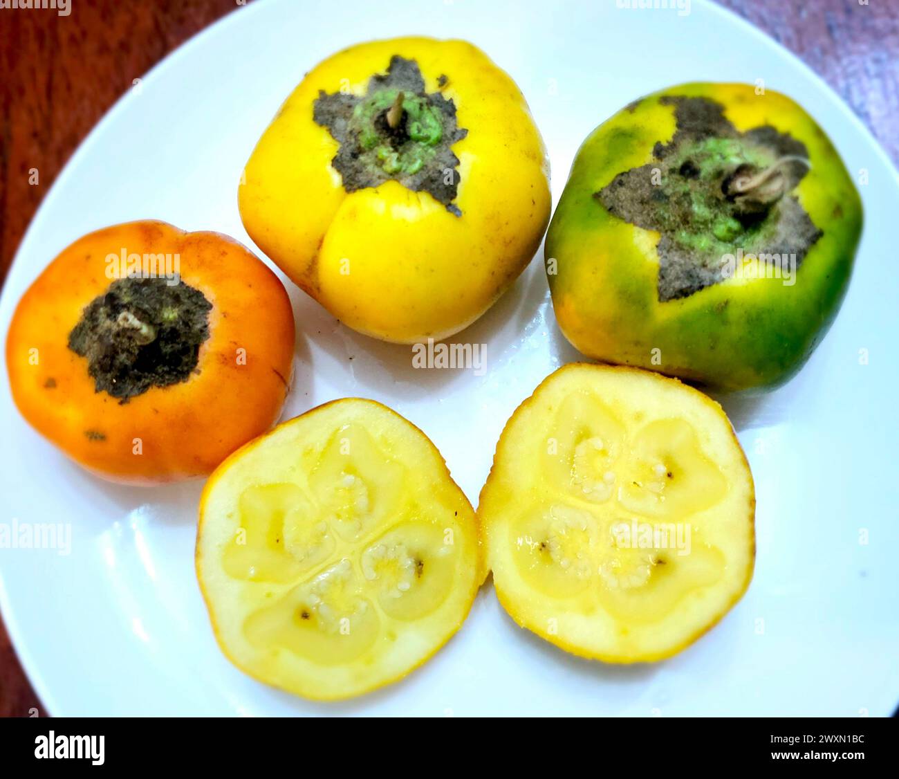 Cocona (Solanum sessiliforum) aus dem peruanischen Regenwald Stockfoto