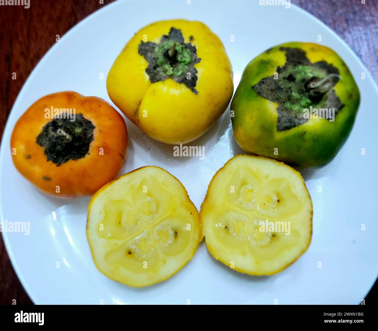 Cocona (Solanum sessiliforum) aus dem peruanischen Regenwald Stockfoto