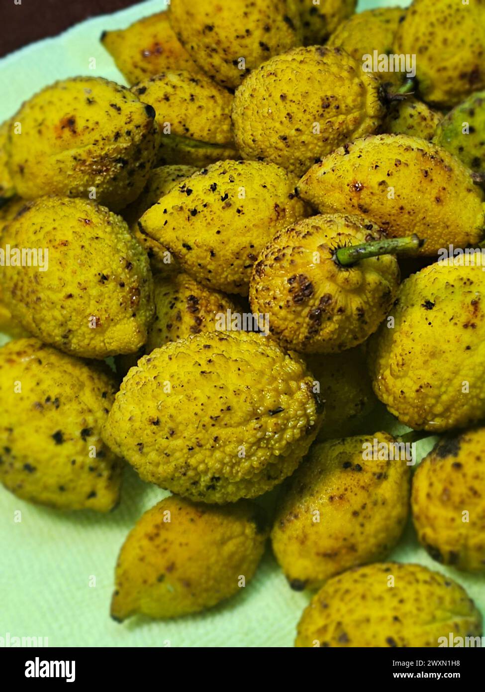 Charichuelos (Garcinia madruno) aus dem peruanischen Regenwald Stockfoto