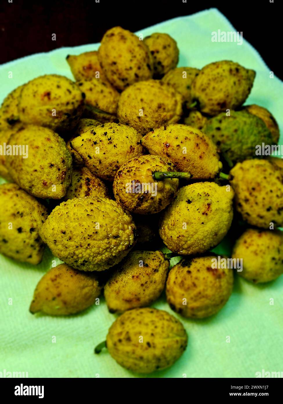 Charichuelos (Garcinia madruno) aus dem peruanischen Regenwald Stockfoto