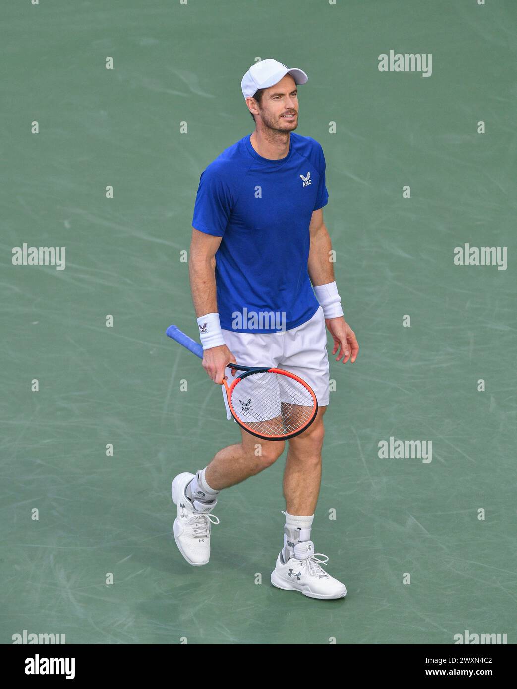 Dubai, 26. Februar 2024 - Foto des britischen Tennisspielers Andy Murray über Action. Dubai Duty Free Tennis Championships 2024 in Dubai Stockfoto