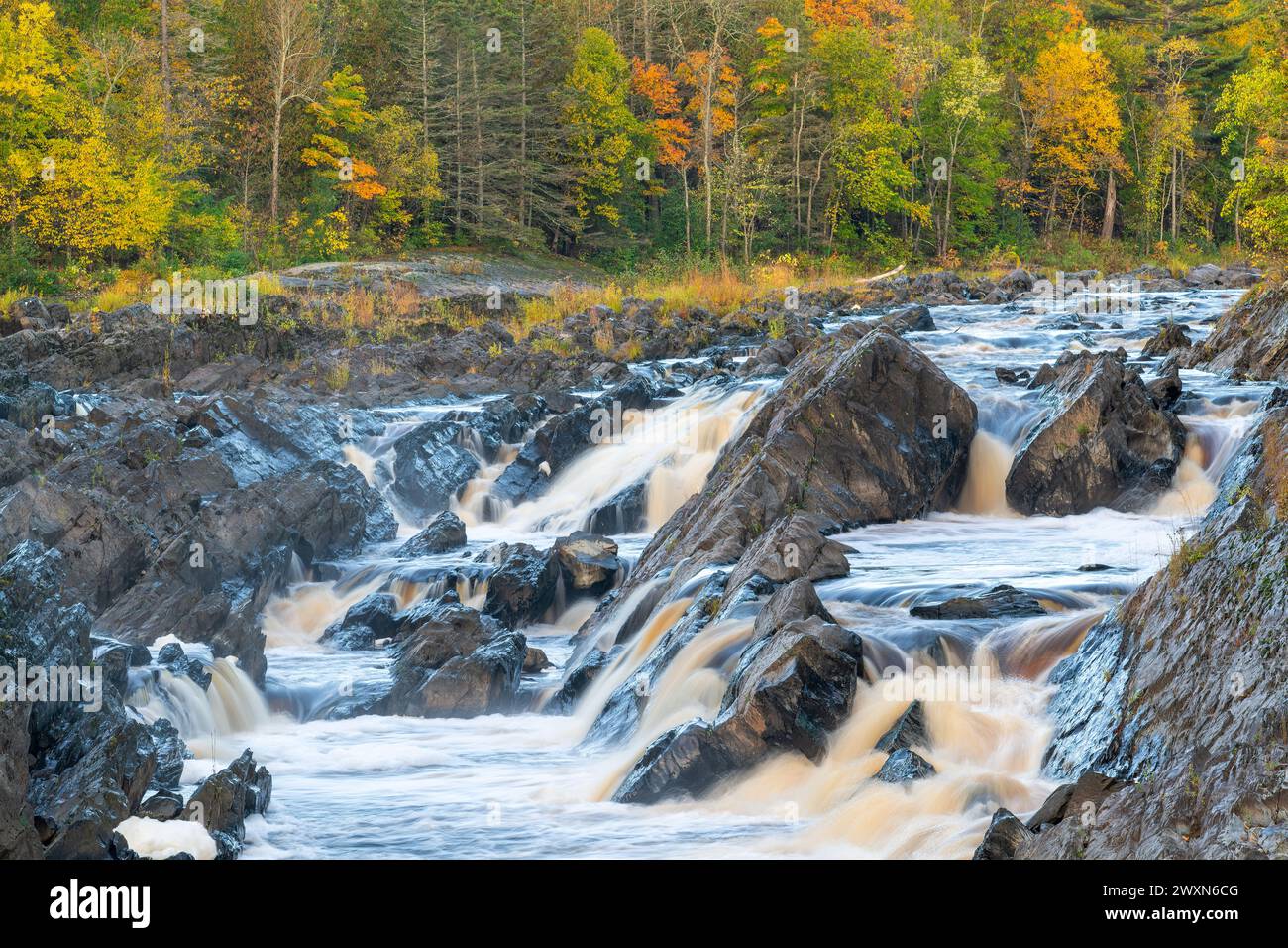 St. Louis River, Jay Cooke State Park, Herbst, MN, USA, von Dominique Braud/Dembinsky Photo Assoc Stockfoto