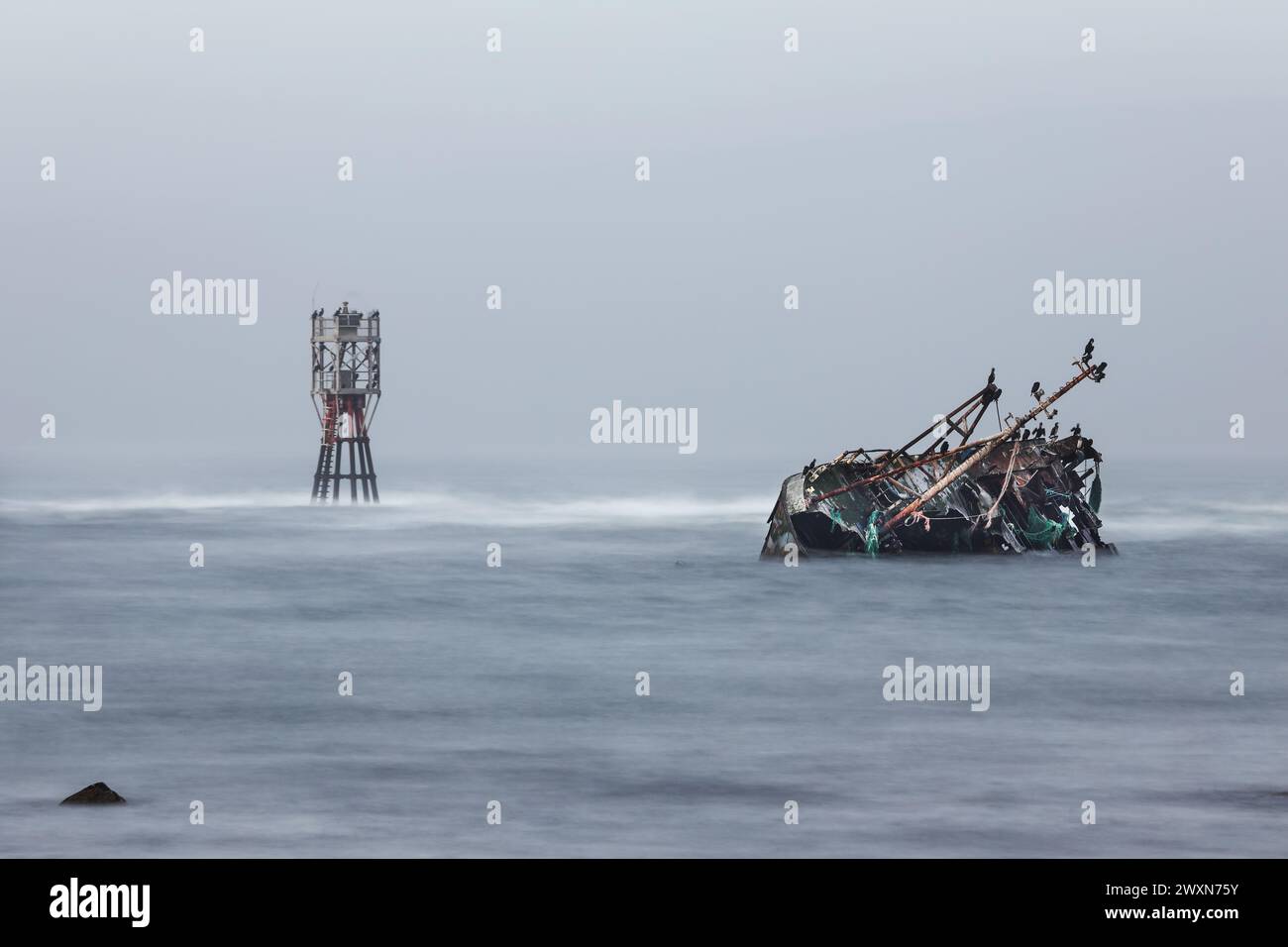 Das Wrack des Souveränen (BF380), umgeben von Meeresnebel. Die Sovereign war ein von Banff registriertes Fischerboot, das auf den Felsen von Cairnbulg auf Grund lief Stockfoto