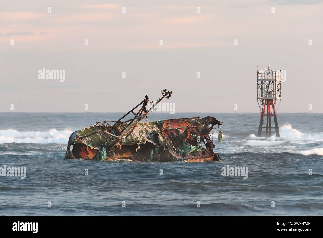 Das Wrack des Sovereign (BF380), ein von Banff registriertes Fischerboot, das 2005 auf den Felsen des Cairnbulg Harbour in Schottland auf Grund lief Stockfoto