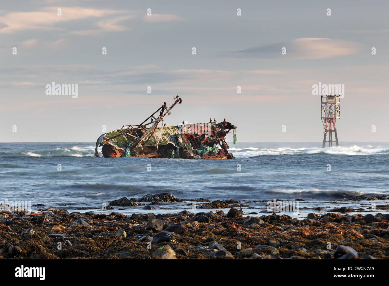 Das Wrack des Sovereign (BF380), ein von Banff registriertes Fischerboot, das 2005 auf den Felsen des Cairnbulg Harbour in Schottland auf Grund lief Stockfoto