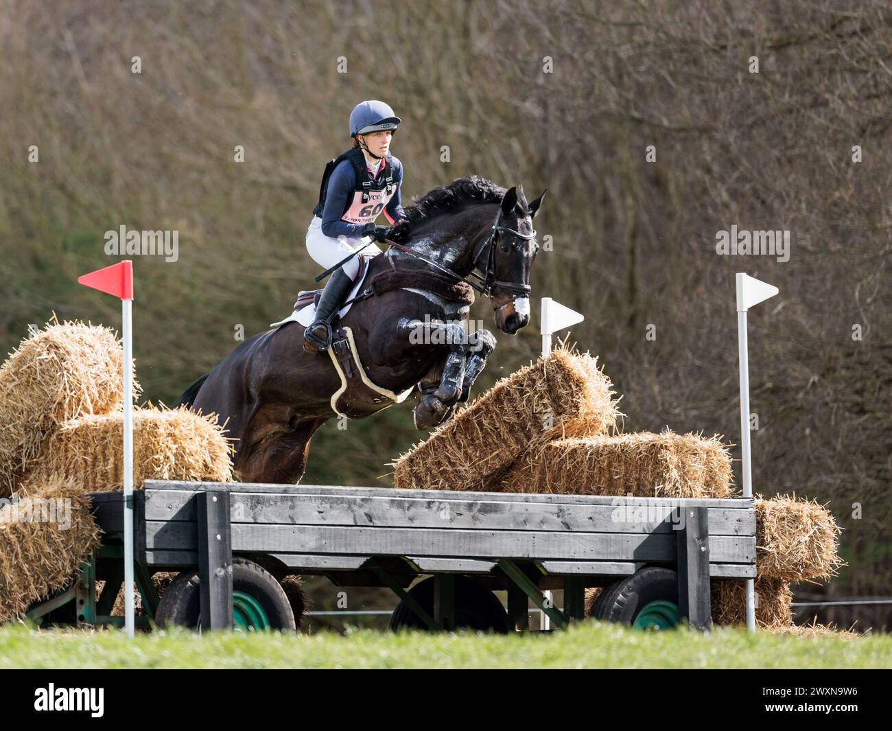 Holly Richardson aus Großbritannien mit Bally Louis während des CCI4*-S Grantham Cup Cross Country beim Thoresby Park International Eventing Spring Carnival am 30. März 2024, Thoresby Park, Vereinigtes Königreich (Foto: Maxime David - MXIMD Pictures) Stockfoto