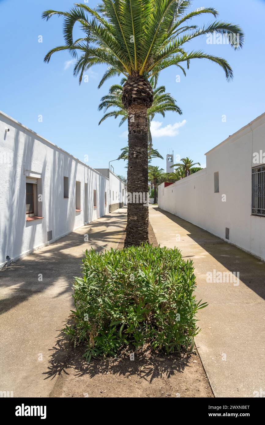 Straße des Fischerdorfes Poble Nou del Delta mit seinen typischen weißen Häusern. Delta del Ebro, Tarrag Stockfoto