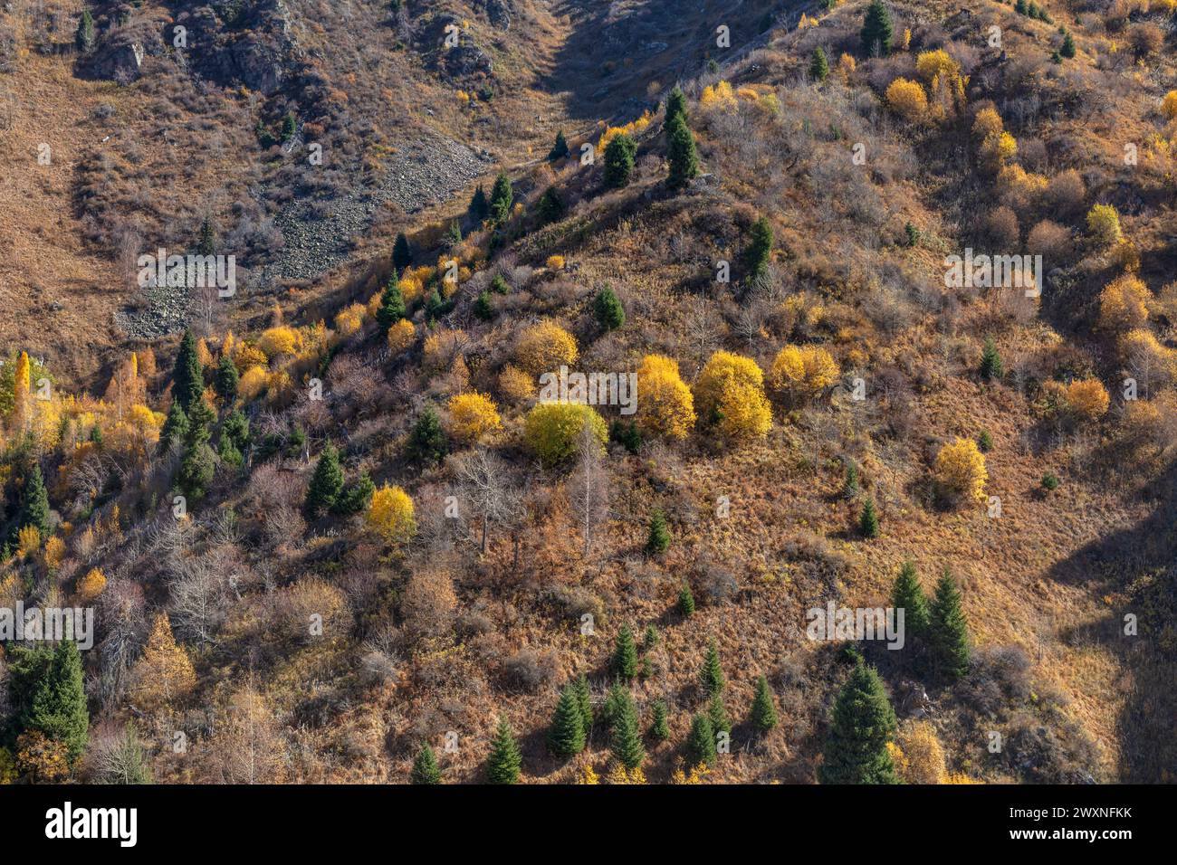 Medeu, Outdoor-Speed-Skating und Bandy rinke, Almaty, Kasachstan Stockfoto
