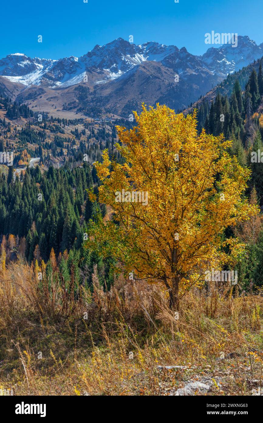 Medeu, Outdoor-Speed-Skating und Bandy rinke, Almaty, Kasachstan Stockfoto