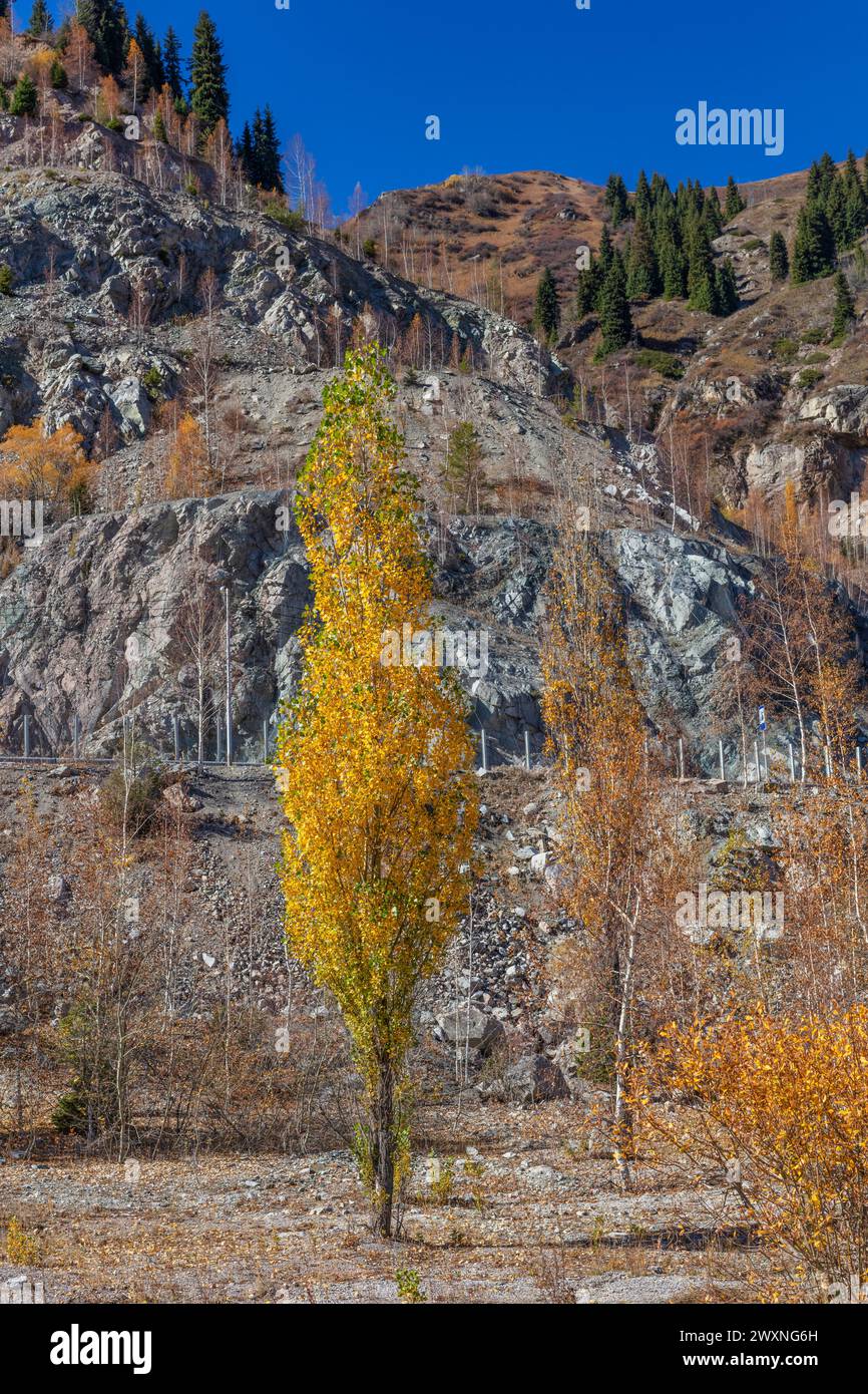 Medeu, Outdoor-Speed-Skating und Bandy rinke, Almaty, Kasachstan Stockfoto